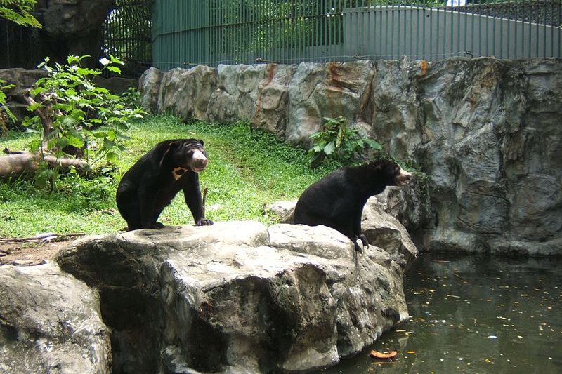 Thailand, Bangkok, Dusit Zoo